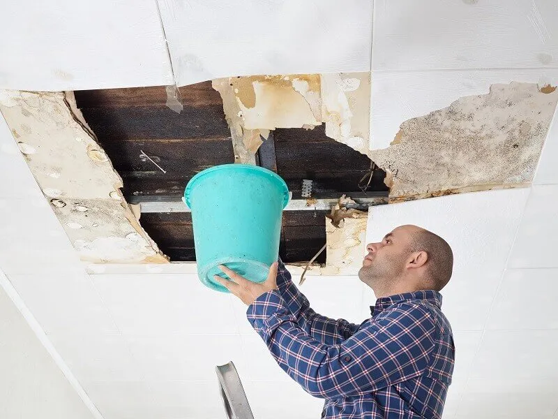 Hard Trails of Hidden Wall and Floor Leaks