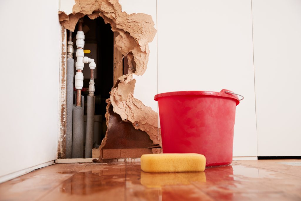 Thermal Tracking Triumph: Solving the Hard Trails of Hidden Wall and Floor Leaks