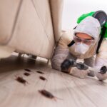Pest Inspections